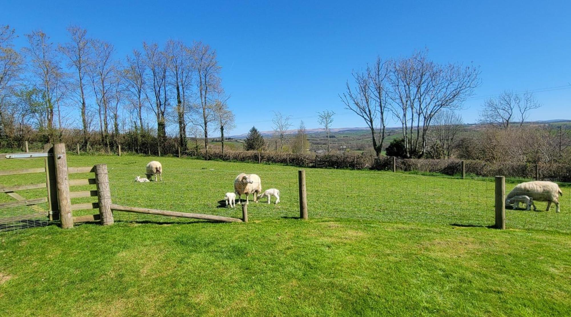 Villa Couples Retreat In Beautiful West Devon Countryside Broadwoodwidger Exterior foto